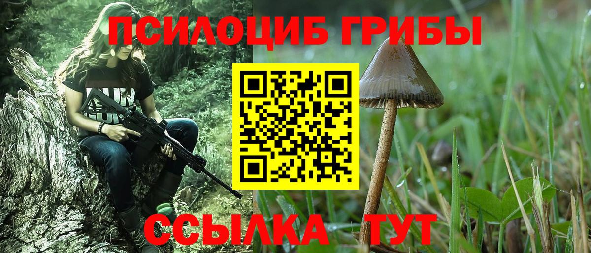 Галлюциногенные грибы GOLDEN TEACHER Камышин