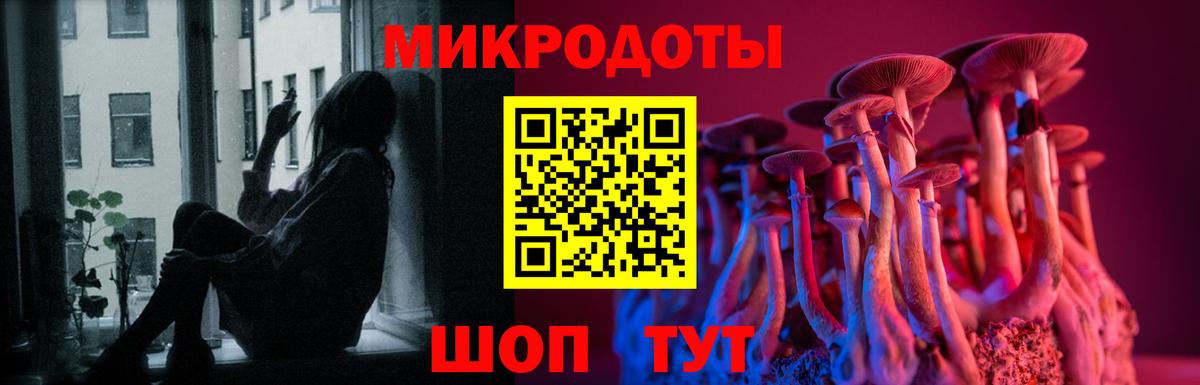 Галлюциногенные грибы мухоморы  Вход с VPN  Камышин 